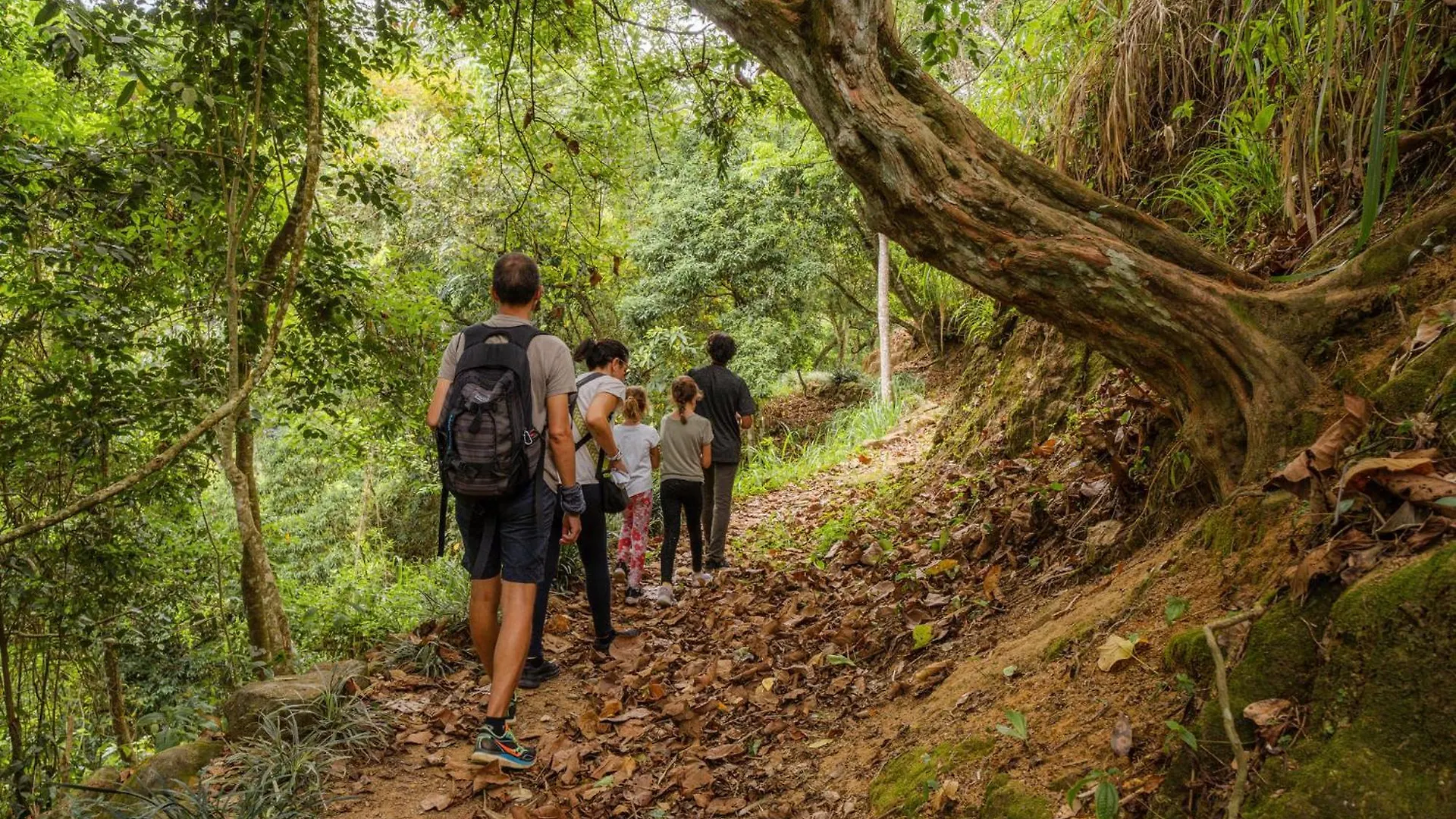 Simpson'S Forest - Luxury Boutique Resort & Spa - Kandy Sri Lanka